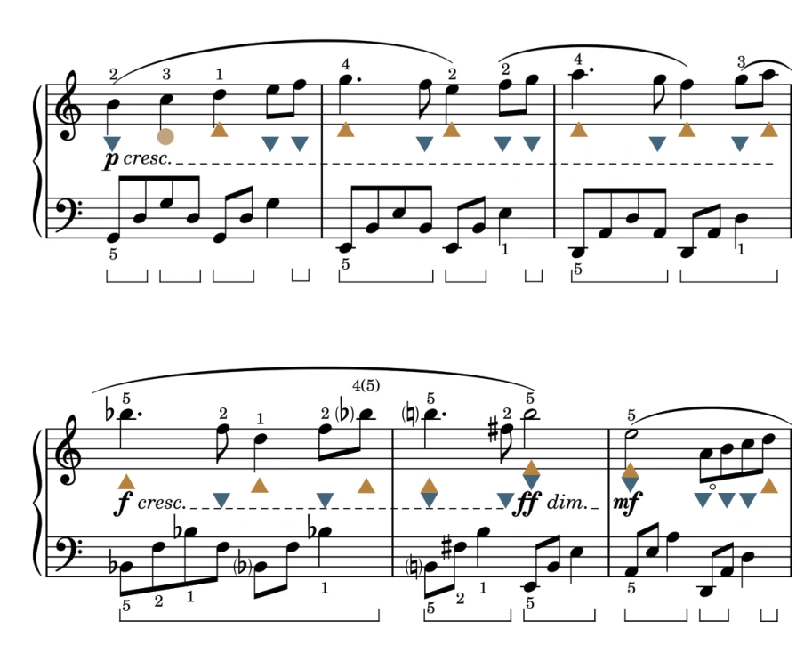 Partitura Visual